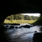 Gandy Creek from inside the Sinks