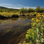 On the Blackwater Trail in Canaan Valley