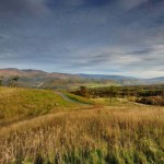 Pasture in Germany Valley