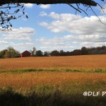 Red barn on farm