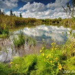 On Freeland Loop Trail