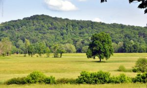 Valley of Pond Creek, Wood County, West Virginia