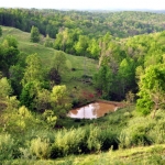 Farm pond near Robertsburg, WV
