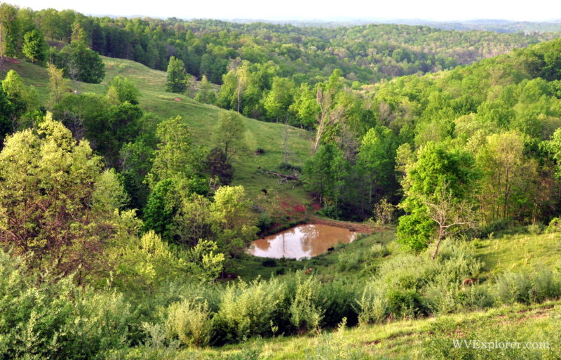 Farm pond near Robertsburg, WV