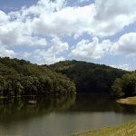 Charles Fork Lake, Roane County