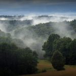 Fog near Staats Mills, WV, Jackson County, Heartland Region