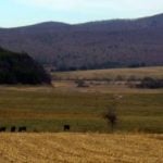 Farms north of Gap Mills, WV, Monroe County, Greenbrier Valley Reigon