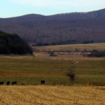 Farmland north of Gap Mills