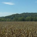 Cornfield, Jackson County, WV, Mid-Ohio Valley Region