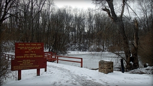Icy pond at Bear Rock Lakes Wildlife Management Area, Triadelphia, WV, Ohio County