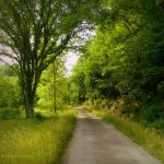 Country road near Apple Farme, WV, Calhoun County, Heartland Region