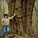 Butternut near McKeefrey, WV, Marshall County, Northern Panhandle Region