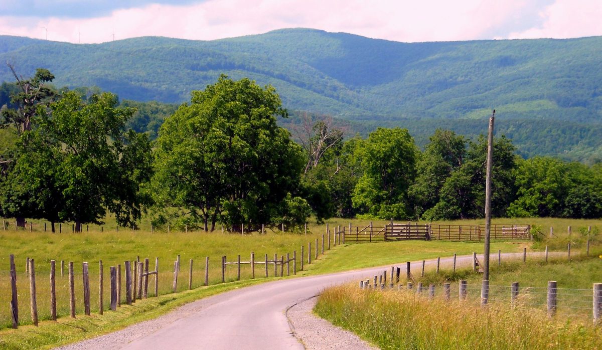 Cold Knob vista near Williamsburg, WV, Greenbrier County, Greenbrier Valley Region