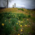 Flowers at East Bank, WV, Kanawha County, Metro Valley Region