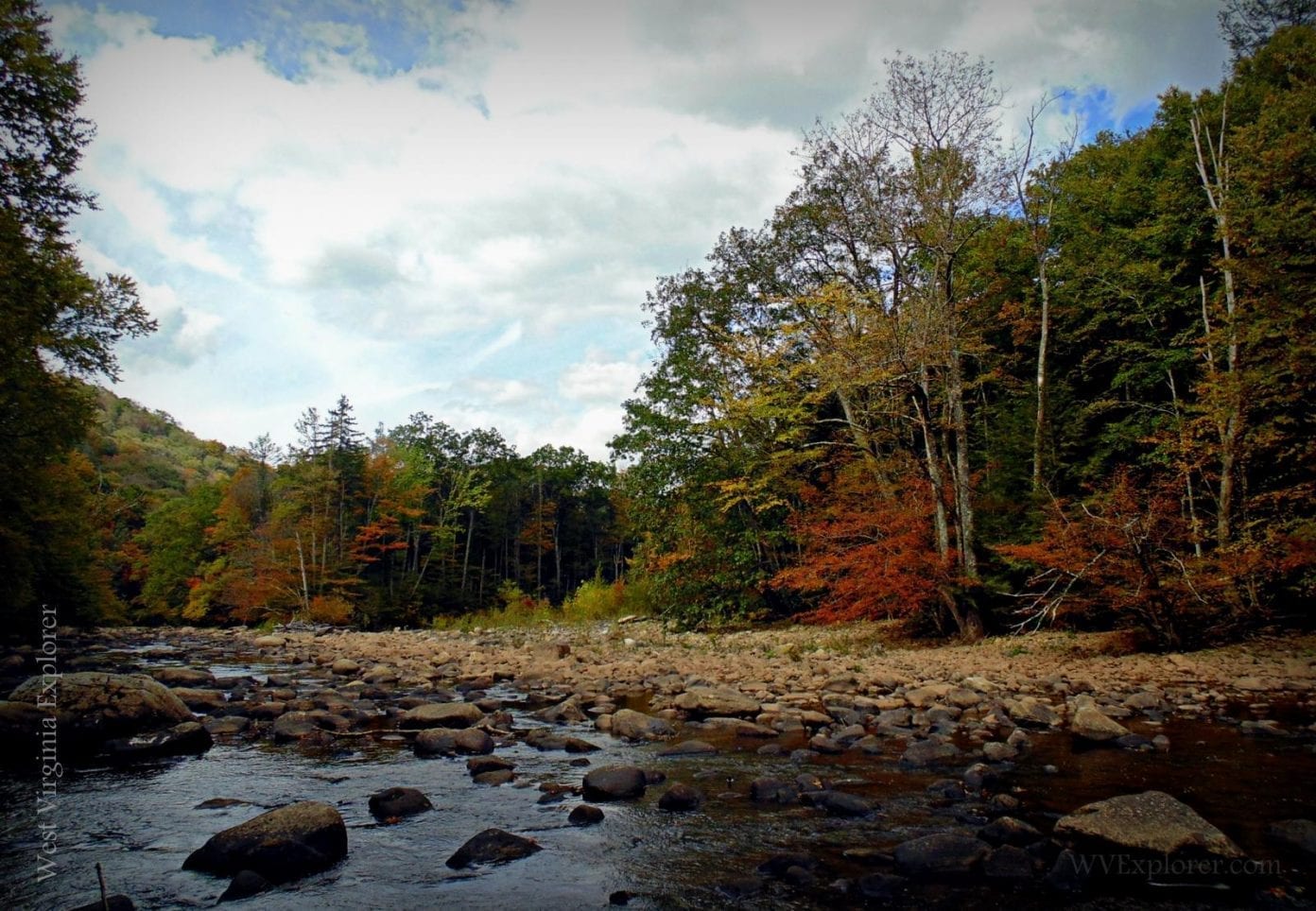 Williams River West Virginia Explorer