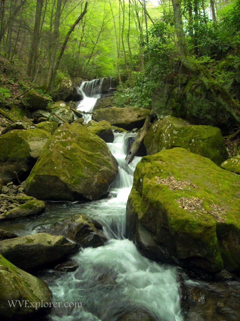Keeneys Creek near Winona, WV, Fayette County, New River Gorge Region
