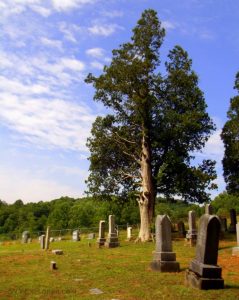 Graveyard at Joetown, WV, Marion County, Monongahela Valley Region
