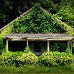 House covered in honeysuckle near Middlebourne, WV, Tyler County, Mid-Ohio Valley Region