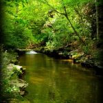 Channel in Little Bluestone River near Streeter, WV, Summers County, Bluestone Region