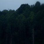 Moon above North Bend Lake, North Bend State Park, Ritchie County, Heartland Region