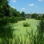 Gardens at Williamstown, WV, Wood County, Mid-Ohio Valley Region