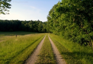 North Bend Rail Trail near Cornwallis, WV, Ritchie County, Heartland Region