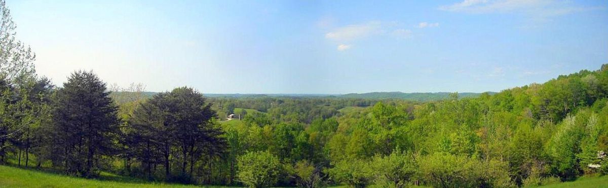 Panorama of Pleasants County