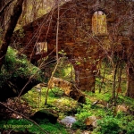 Ruin at Lower Kaymoor, WV, Fayette County, New River Gorge National Park and Preserve, New River Gorge Region