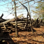 Preserved rail fence near Carnifex Ferry