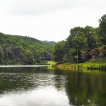 Summer on Tomlinson Run Lake