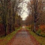 Rail trail at Glen Dale, WV, Marshall County, Northern Panhandle Region