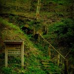 Buffalo Park near Webster Springs, WV, Webster County, Allegheny Highlands Region