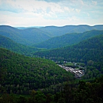 Mountain forests in Webster County