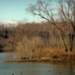 Wells Island near Sistersville, WV, Tyler County, Ohio River Islands National Wildlife Refuge, Mid-Ohio Valley Region