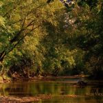 West Fork of Little Kanawha River near Creston, WV, Wirt County, Heartland Region