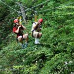 Canopy tours at ACE Adventure Resort, New River Gorge Region