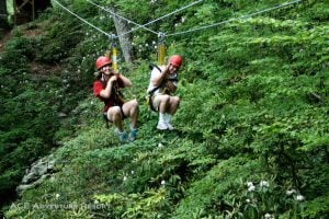 Canopy tours at ACE Adventure Resort, New River Gorge Region