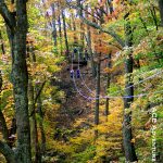 Canopy tour in autumn, New River Gorge, ACE Adventure Resort