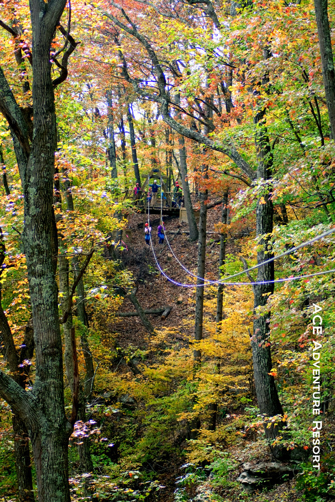 Canopy tour in autumn