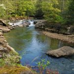 Back Fork of Elk River, Elk River, Webster County