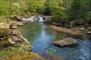 Back Fork of Elk River, Elk River, Webster County