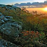 Sunrise at Bear Rocks Preserve, Dolly Sods Wilderness, Allegheny Mountains Region
