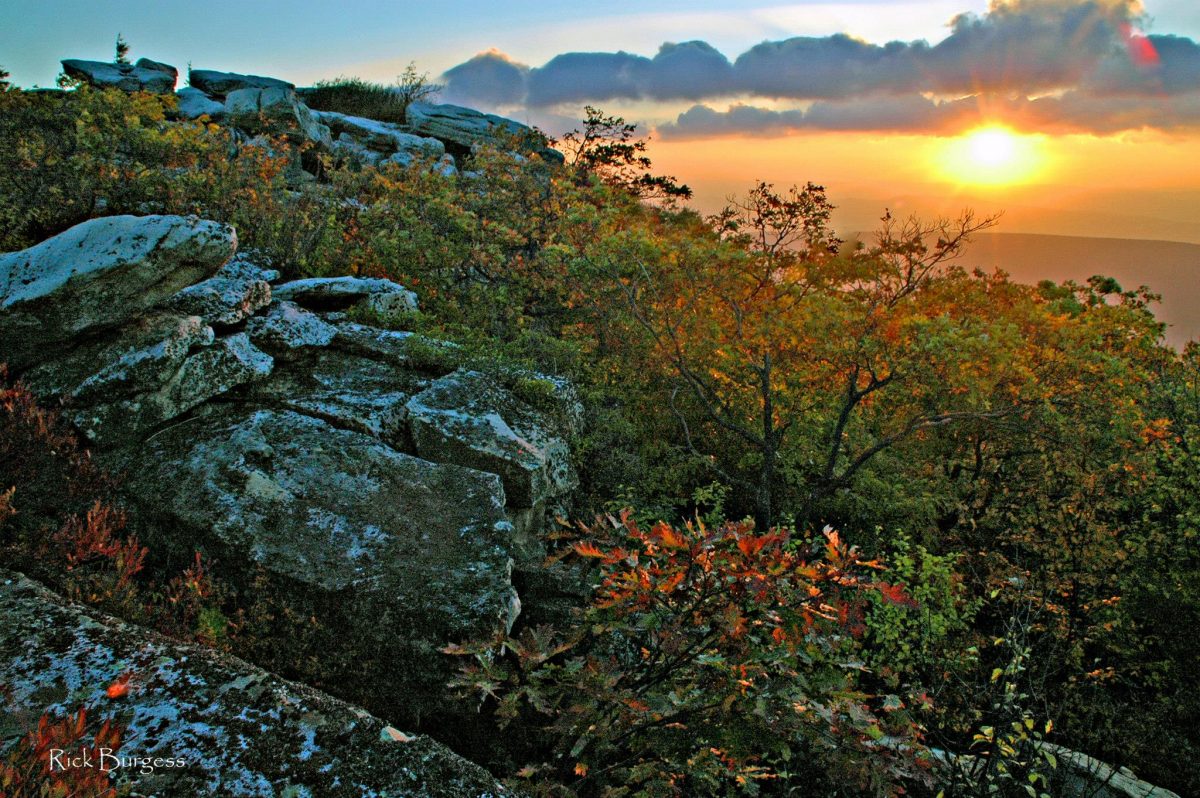 Sunrise at Bear Rocks Preserve, Dolly Sods Wilderness, Allegheny Mountains Region