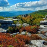 September view at Dolly Sods Wilderness, Tucker County, Allegheny Highlands Region