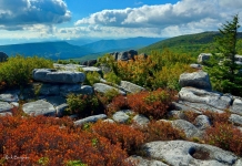 September view at Dolly Sods Wilderness, Tucker County, Allegheny Highlands Region
