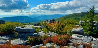 September view at Dolly Sods Wilderness, Tucker County, Allegheny Highlands Region