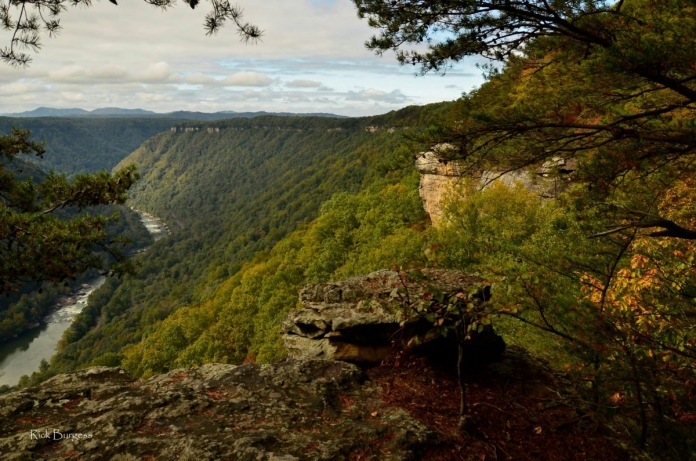 New River from Beauty Mountain New River from Beauty Mountain by Rick Burgess, Fayette County, New River Gorge Region
