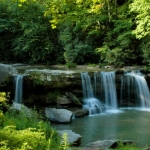 McCoys Falls on Birch River, Webster County, Allegheny Highlands Region
