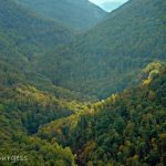 Blackwater RIver Canyon, Tucker County, Allegheny Highlands Region