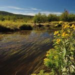 Blackwater Trail in Canaan Valley, WV, Tucker County, Allegheny Highlands Region, Ed Rehbein